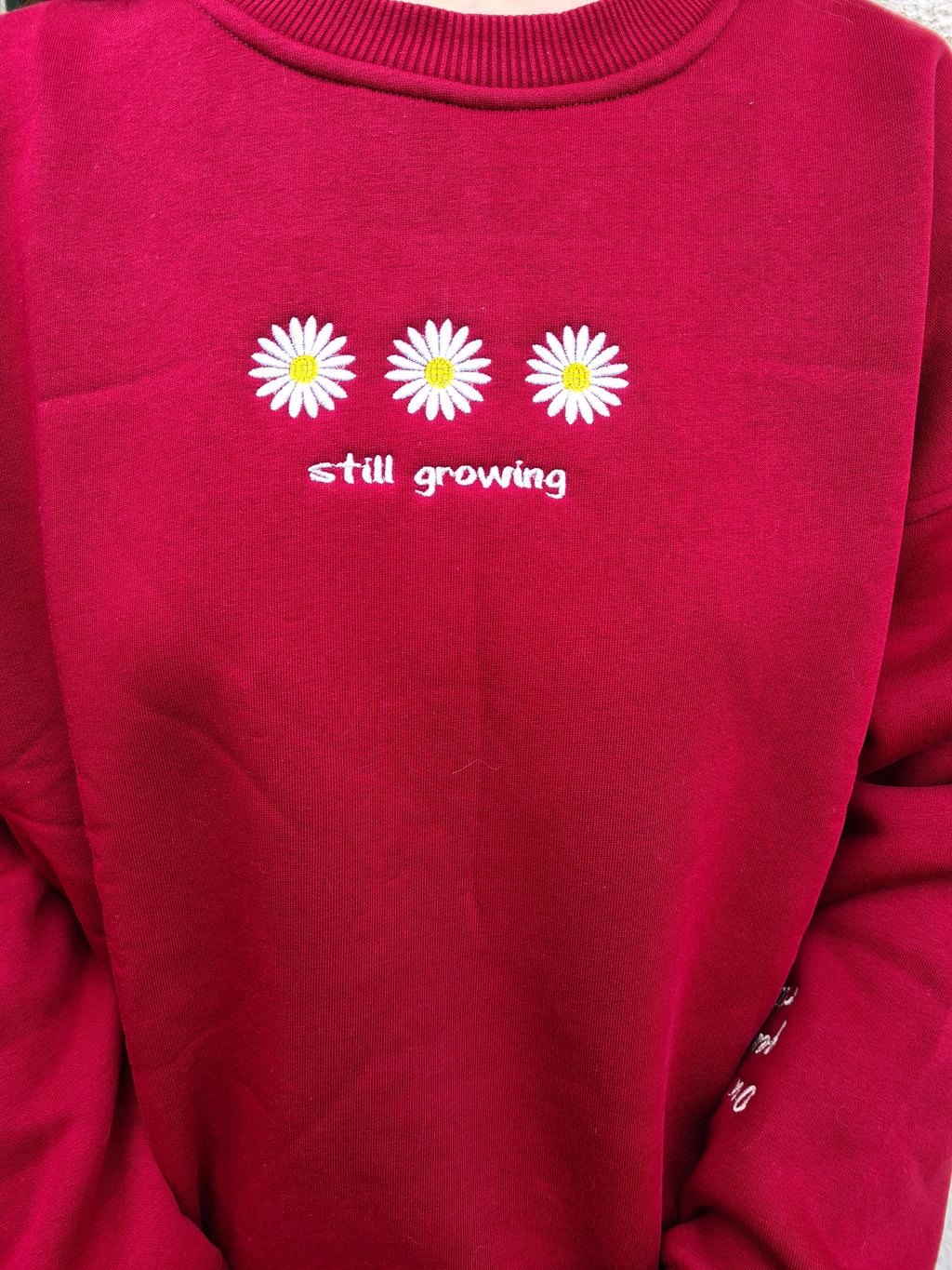 Still growing - Besticktes Sweatshirt